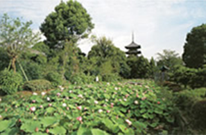 東寺の行事や歴史をご紹介